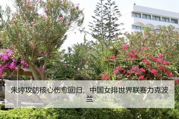 朱婷攻防核心伤愈回归，中国女排世界联赛力克波兰