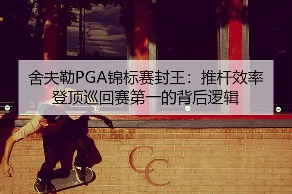 she-fu-lei-jin-biao-sai-feng-wang-tui-gan-xiao-lv-deng-ding-xun-hui-sai-di-yi-de-bei-hou-luo-ji-2-569.jpg
